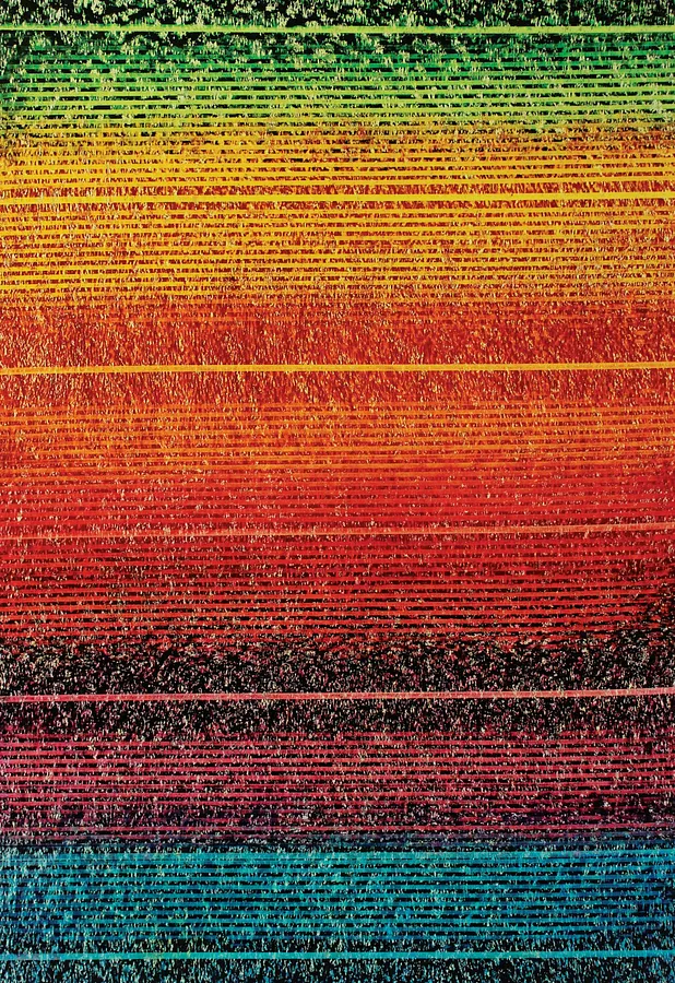 Image of image022 by Maryan Besaga, part of the ПРИСУТНІСТЬ series